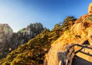 杭州+嘉兴+普陀山+江南双水乡~乌镇西栅+西塘 5晚6天